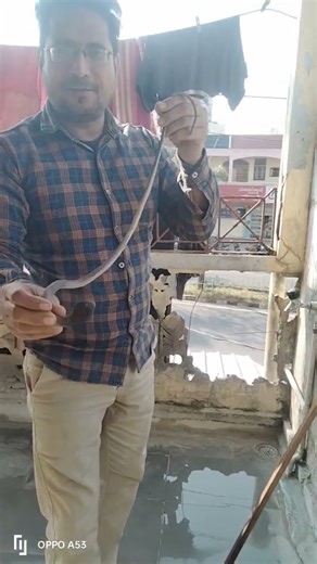 #funny #comedy #jokes #memes #puzzle #top_7_funny_laughing_sound_effects #YouTube shorts video