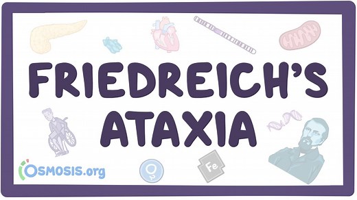 Friedreich ataxia: Video, Causes, & Meaning | Osmosis