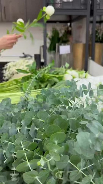 Infinity Roses on TikTok