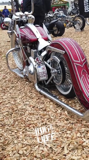 Chicano Custombike #EuropeanBikeWeek auf der #CustombikeShow #harleydavidson #custombike #custombikes #chicano #chicanostyle #chicanoculture #chicanoharleydavidson #fouryoupage #harleysite #fyp #fypシ #fypシ゚viral #viral