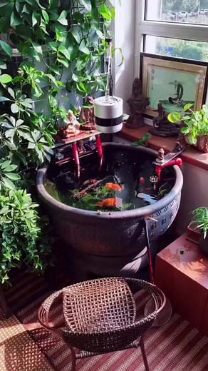 Goldfish Corner on TikTok