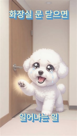 화장실문 닫으면 벌어지는 일 #강아지 #애견영상 #동물농장강아지 #강아지일상 #강아지브이로그 #반려견