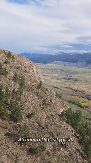 TOMORROW in our season 11 premiere, Jonny visits Osoyoos Indian Band in British Columbia! Located in the heart of Canada's only desert, OIB turned hardships into an amazing comeback story. Tune in tomorrow night to learn more! 🐎 🏜️ 🌵Airing on CBC at 830pm (9pm NT) and streaming on CBC Gem | Still Standing