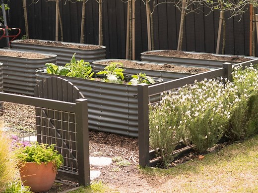 How To Make A Wicking Bed - Bunnings Australia