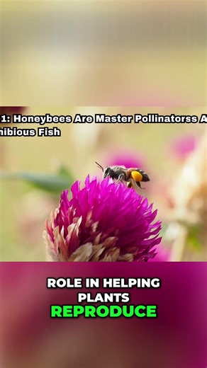 10 Amazing Honeybee Facts: Why They're Crucial! #shorts
