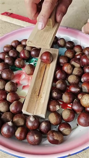 Efficient Techniques for Shelling Chestnuts