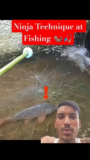 Ninja Technique Fishing 🎣🦦🎣 #viral #trending #funny #shorts #fishing #greenscreen