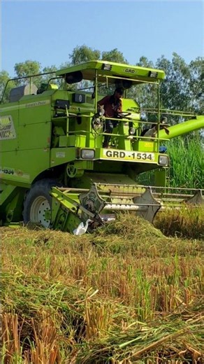 GRD combine #combine #harvestermachine #combinemachine #combineharvester #harvesterwala#tranding