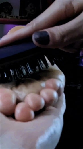 Olivia's Ticklish Foot Scrub w/ a Hairbrush #shorts #foot #asmr