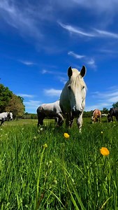 8.2K views · 461 reactions | On met du soleil ☀️ dans sa vie même...