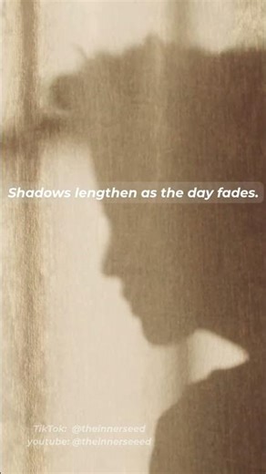 Shadows lengthen as the day fades