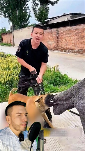 Cómo hacer que un perro te suelte si te muerde (Técnica de emergencia)