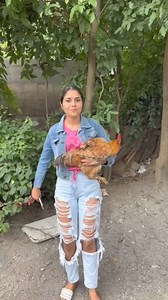Dan el gallo 🤨 | Soy LaLoruga