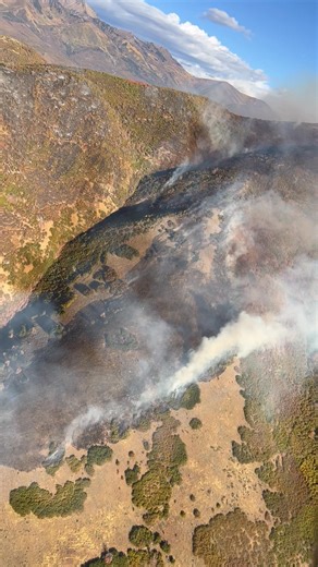 October 3, 2025 - Cherry Fire Cherry Fire Burning on the Spanish Fork Ranger District of the Uinta-Wasatch-Cache National Forest Spanish Fork, Utah – Firefighters are responding to the Cherry Fire, burning on the Spanish Fork Ranger District of the Uinta-Wasatch-Cache National Forest. The fire is currently estimated at 250 acres burning in gamble oak and maple. Multiple ground crews and aircraft remain on scene working to slow fire spread and protect nearby communities. Crews are focusing suppre