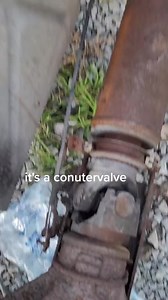 1.9K views · 6.6K reactions | It's a conutervalve | Joshua Lee Cox | Facebook