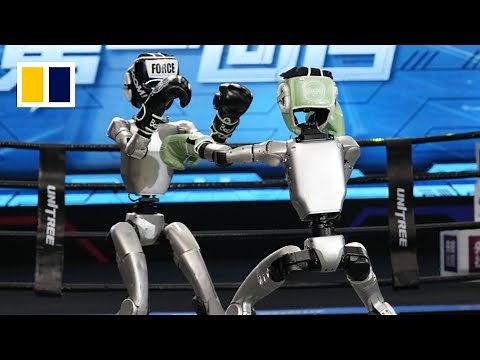 Chinese humanoid robots enter kickboxing contest