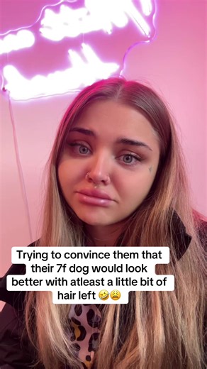 Transform Your Dog's Coat Into a Teddy Bear Look