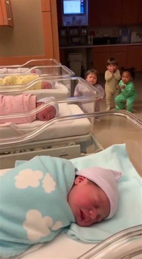 Toddler Warns “Don’t Wake Monster Baby” — Instant Regret 😂👶 | Funny Hospital Moment.