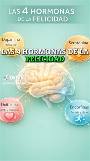 Videos de Jaime Gutierrez / Fe & Salud (@jaimegutierrezgordillo7) con “sonido original - Jaime Gutierrez / Fe & Salud”