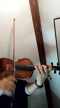 si nos dejan, violín GARIBALDI