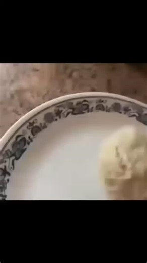 Andrew Garfield | Trees in the forest are actually talking to each other via an "Underground Internet." Known as the "Wood Wide Web," this network is made of... | Instagram