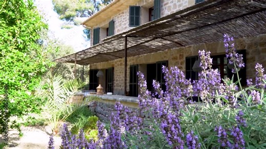 Traditional countryside cottage in Provence, south of France, with lavender bush in the garden, on a sunny day.