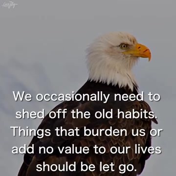 2K views · 17 reactions | Motivational Video: Seven Leadership...