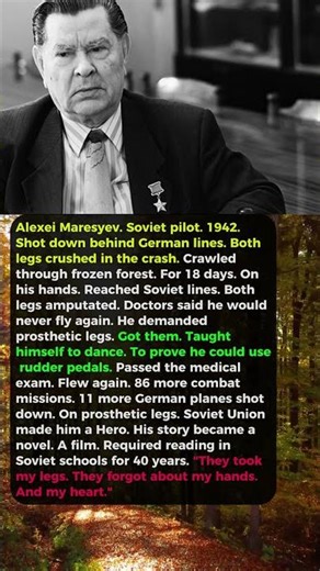 Soviet Pilot Had No Legs — Flew 86 Combat Missions on Prosthetics and Became a National Hero