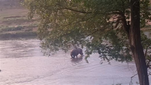 2.4K views · 97 reactions | Mpala Safari Lodge on Reels | Facebook