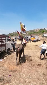 35K views · 895 reactions | ✅Follow our page ...