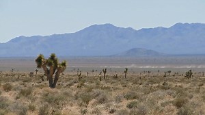 Welcome to our Nevada History series! Today we’re diving into how the...