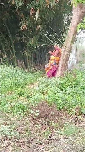 #hindisong #bollywood 🤣