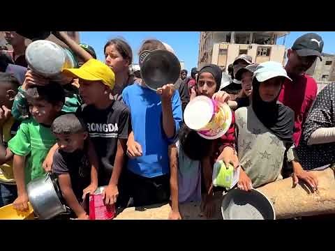 No aid left, staff starving in Gaza: Norwegian Refugee Council | REUTERS