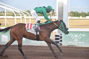 Stormy showdown awaits in 105th Jamaica Derby Classic - Jamaica Observer