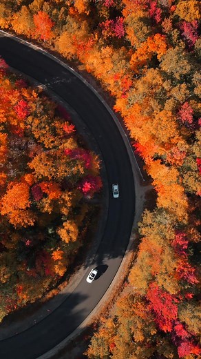 Fall Road Trip Vlog: Vermont & New Hampshire Adventures