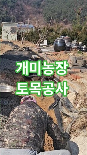 We have completed the spring construction work at the ant farm.