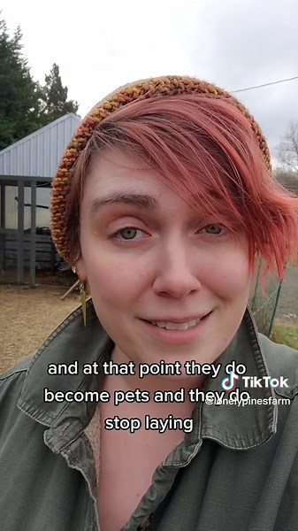 Understanding the Process of Culling Chickens for Backyard Flock Management