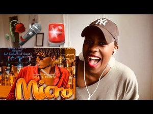 MICRO DAVIS D REACTION VIDEO