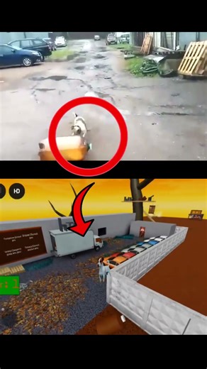 Roblox Dog Gets Stunned #roblox #meme #effect #memeedit