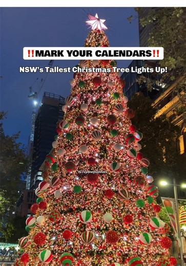 Sydney’s Tallest Christmas Tree is Lighting Up - do not miss it! 📍Martin Place (Sydney) #christmas #christmas2025 #sydneythingstodo #sydney