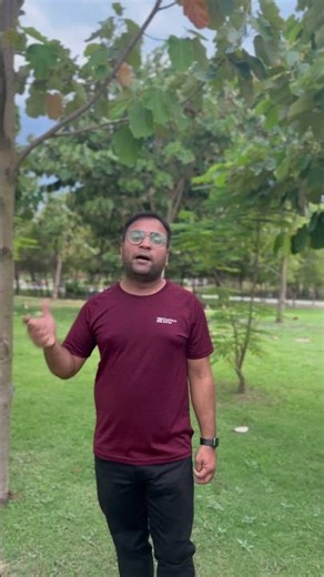 What is the difference between deciduous and evergreen trees? #forest #geography