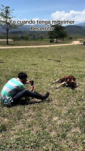 Cuando Tenga mi primer Becerrito 👀📸📲 #becerro#rancho#fyp#zootecnia#campo