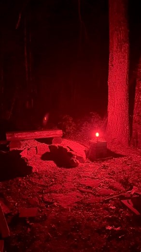 The Acebeam Tac 2AA everyday carry flashlight has plenty of lumens, strobe effect, and comes with accessories. #tacticalgear #flashlight #prepper | Prepper Press