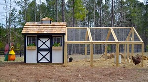 How To Build A Backyard Chicken Coop | Homesteading
