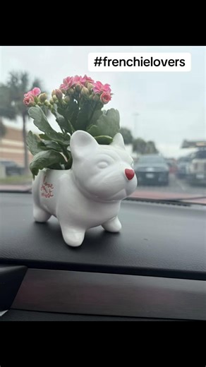 Discover the Cutest Frenchie Finds at Target