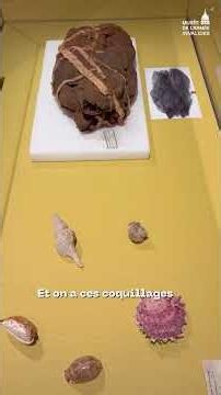 🚀 Partez pour un voyage à travers trois siècles d’explorations
