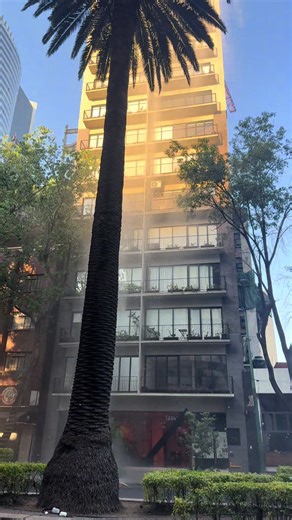 Temblor en la Ciudad de México: Sismo y sus Efectos