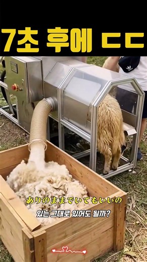 7초 후에 벌어진 일 ㄷㄷ 마법 같은 자동화 시스템