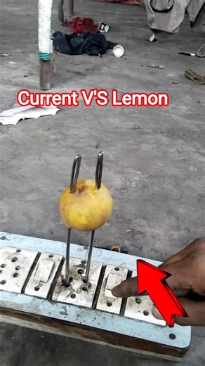 निंबू V'S करंट ⚡ कौन जीतेगा? #shortvideo #experiment #funny #shorts #trinding #vairal