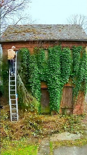 Taming an Overgrown Property | Extremely Satisfying Cleaning